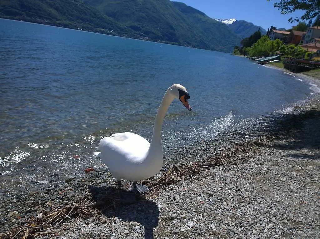 شقة Venanzio! Pianello Del Lario إيطاليا